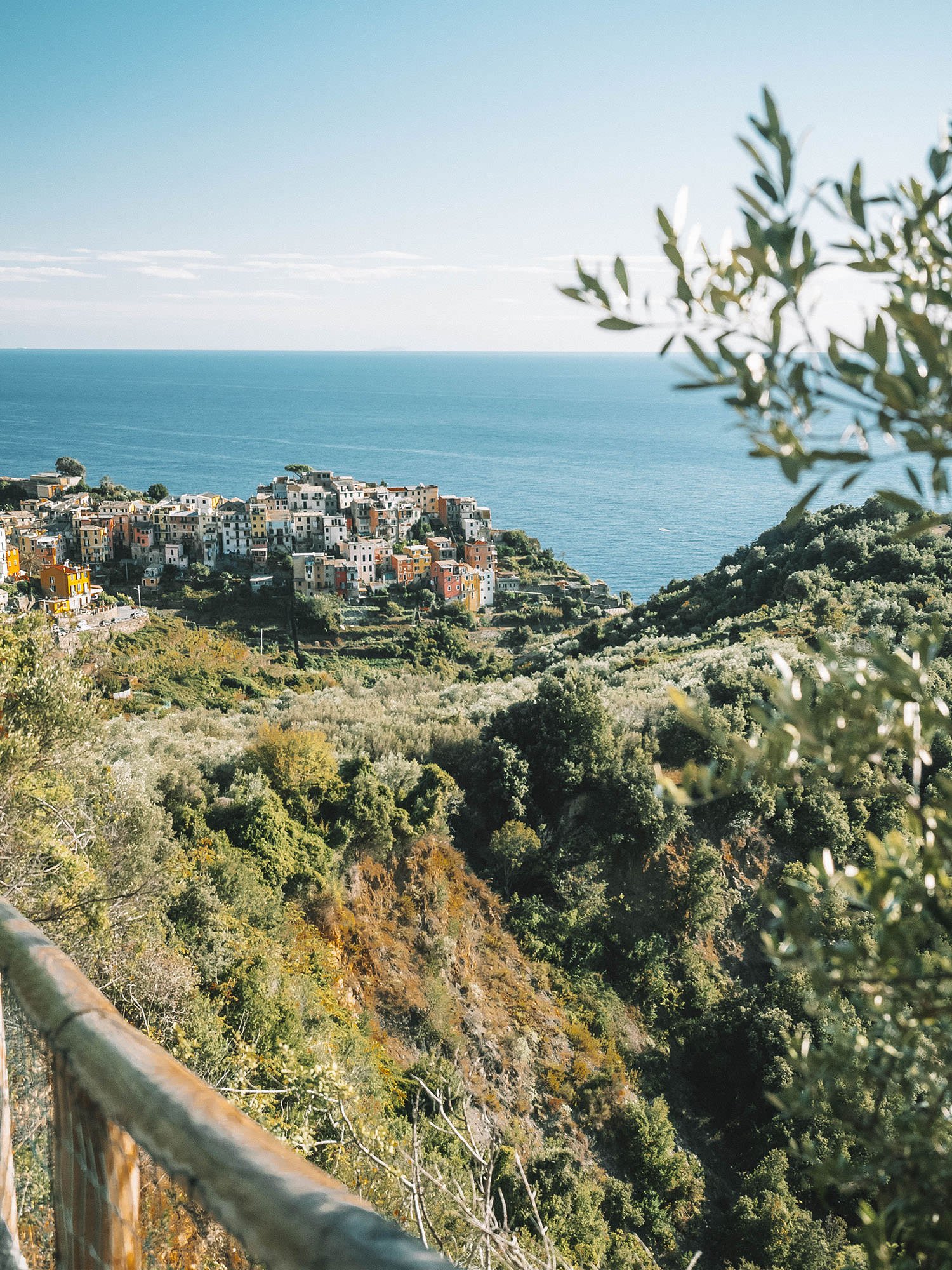 View+of+Corniglia+Cinque+Terre+Italy.jpeg