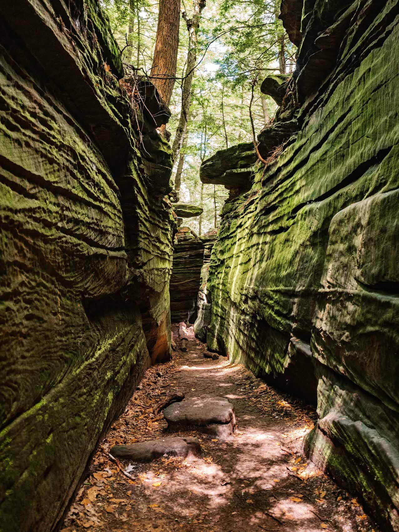 Cave+in+Cuyahoga+Valley+National+Park+trails.jpeg