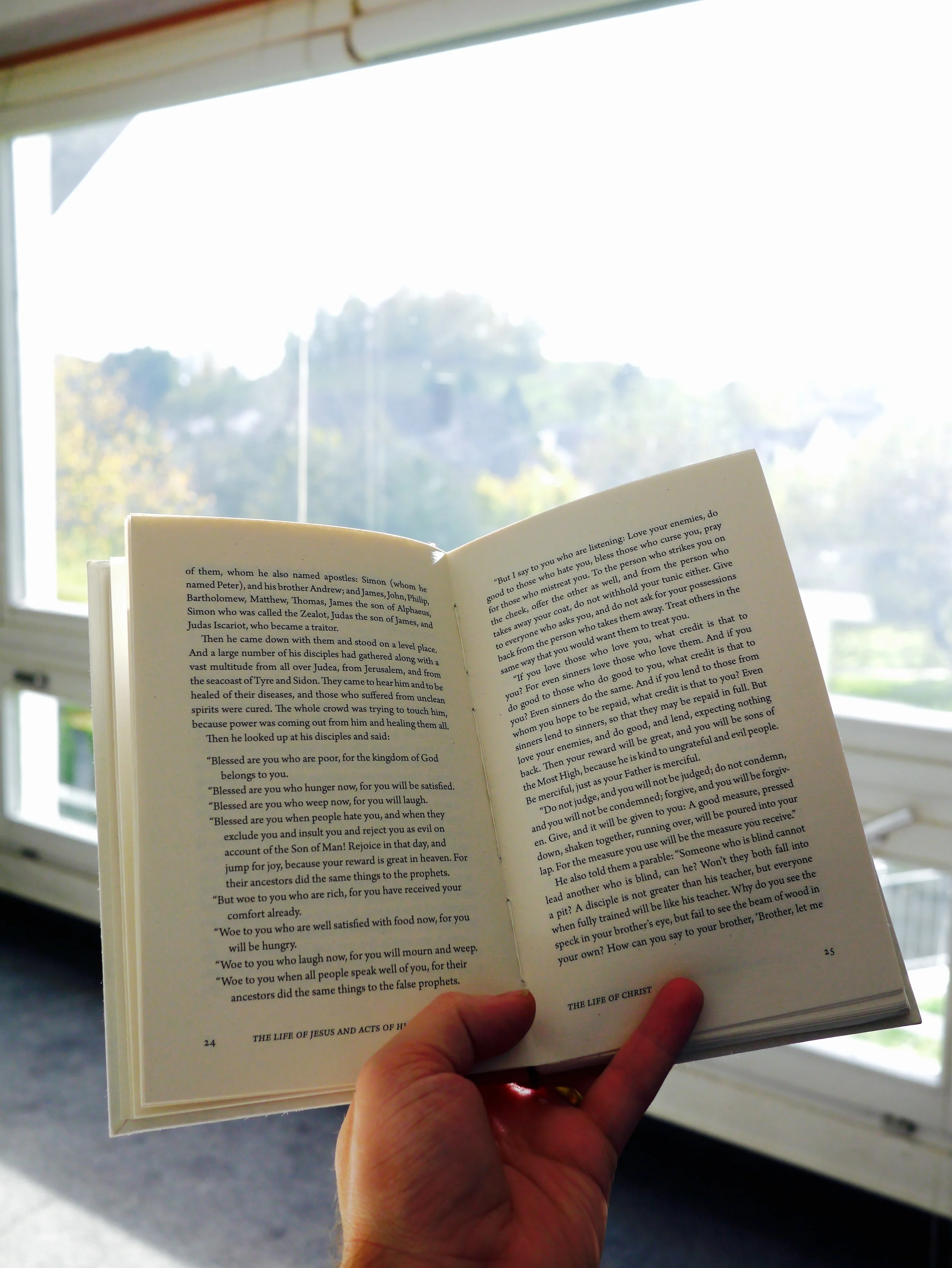 P1010935.jpg