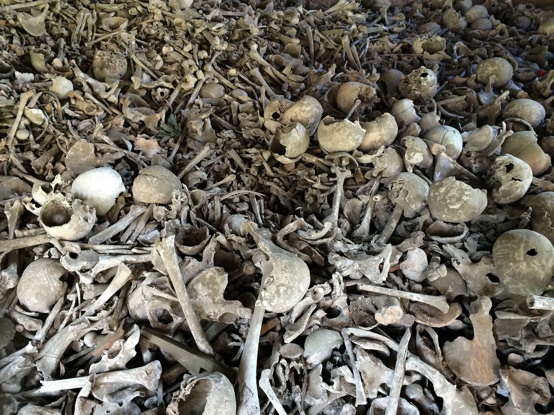 Dry+Bones.jpg