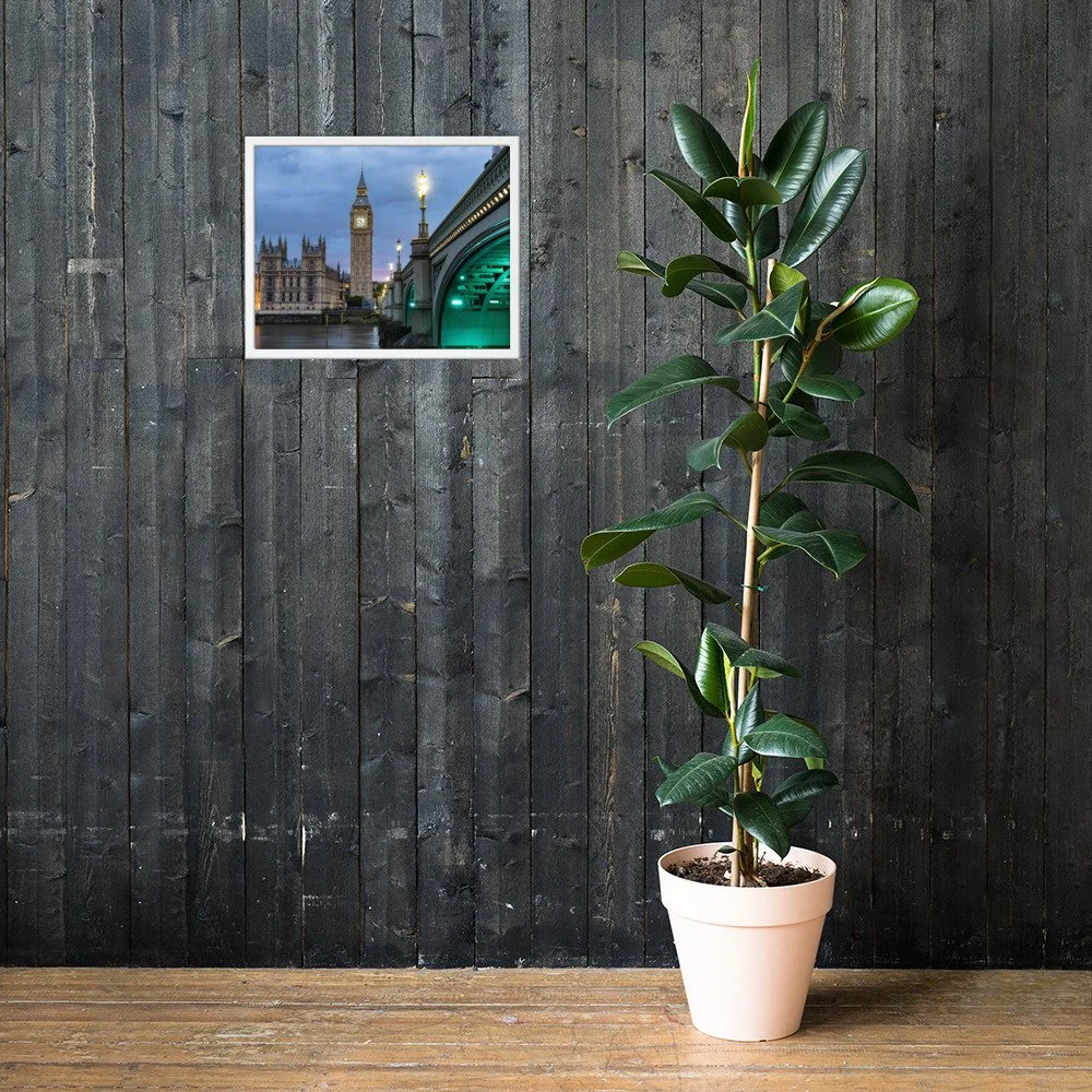 premium-luster-photo-paper-framed-poster-(in)-white-16x20-lifestyle-2-69dc11094a619.jpg