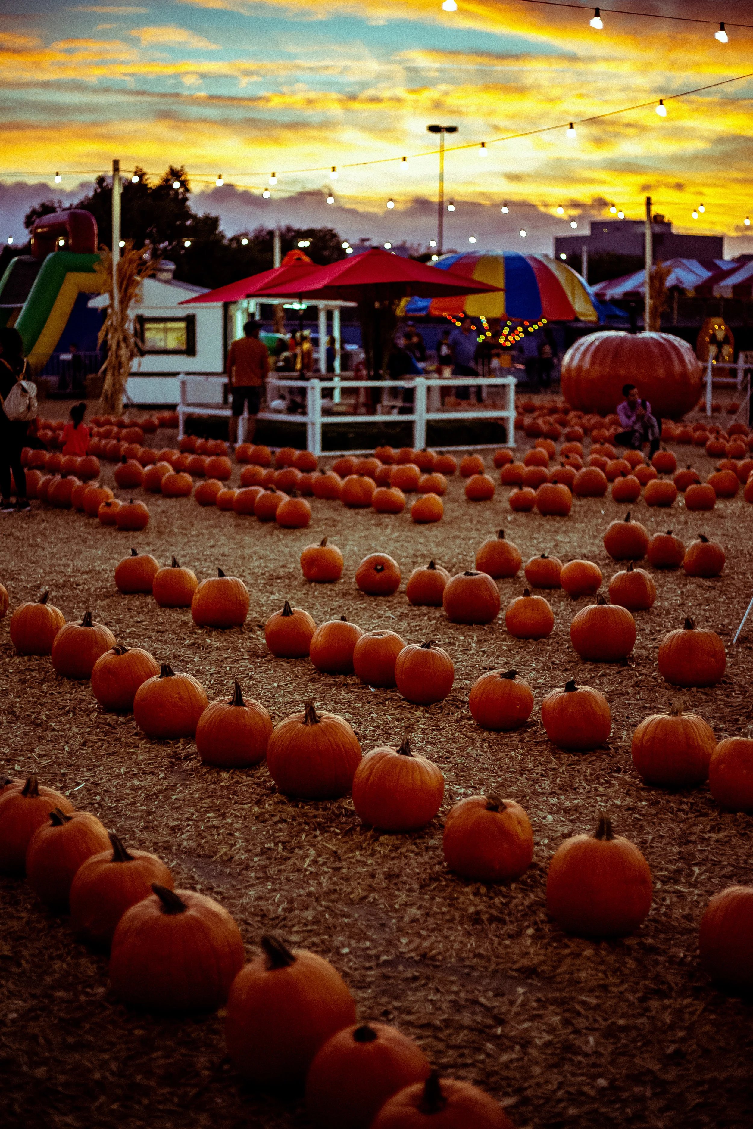 181007_Kasper_PumpkinPatch_Polished-33.jpg
