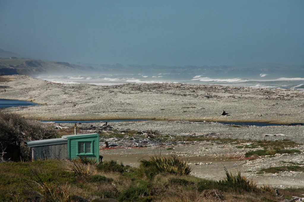 DSC_6098.jpg