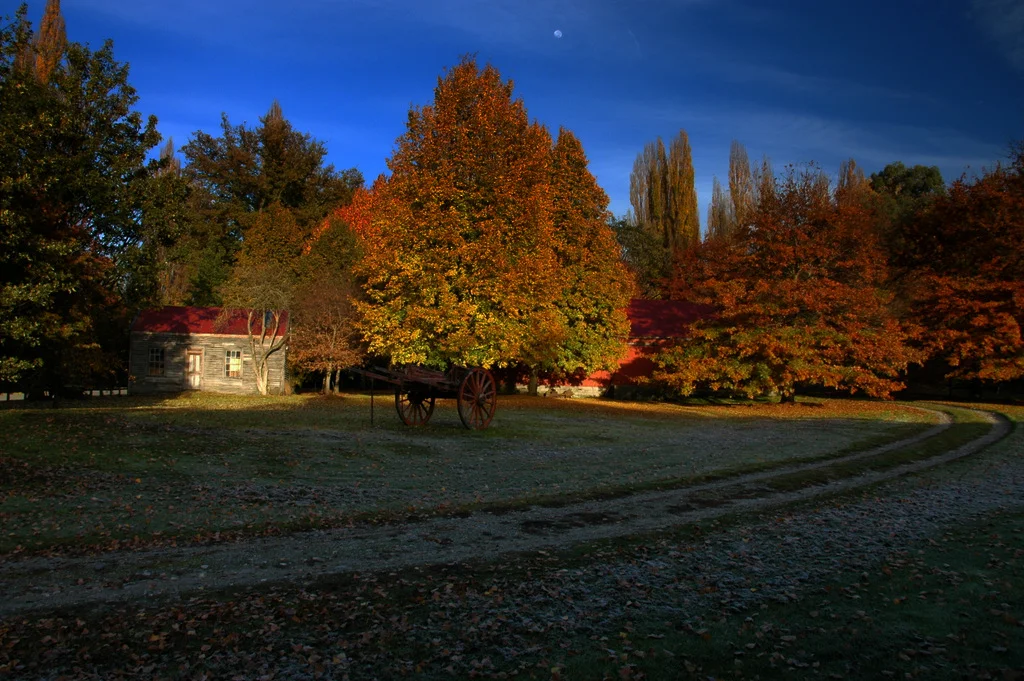 DSC_9190.JPG