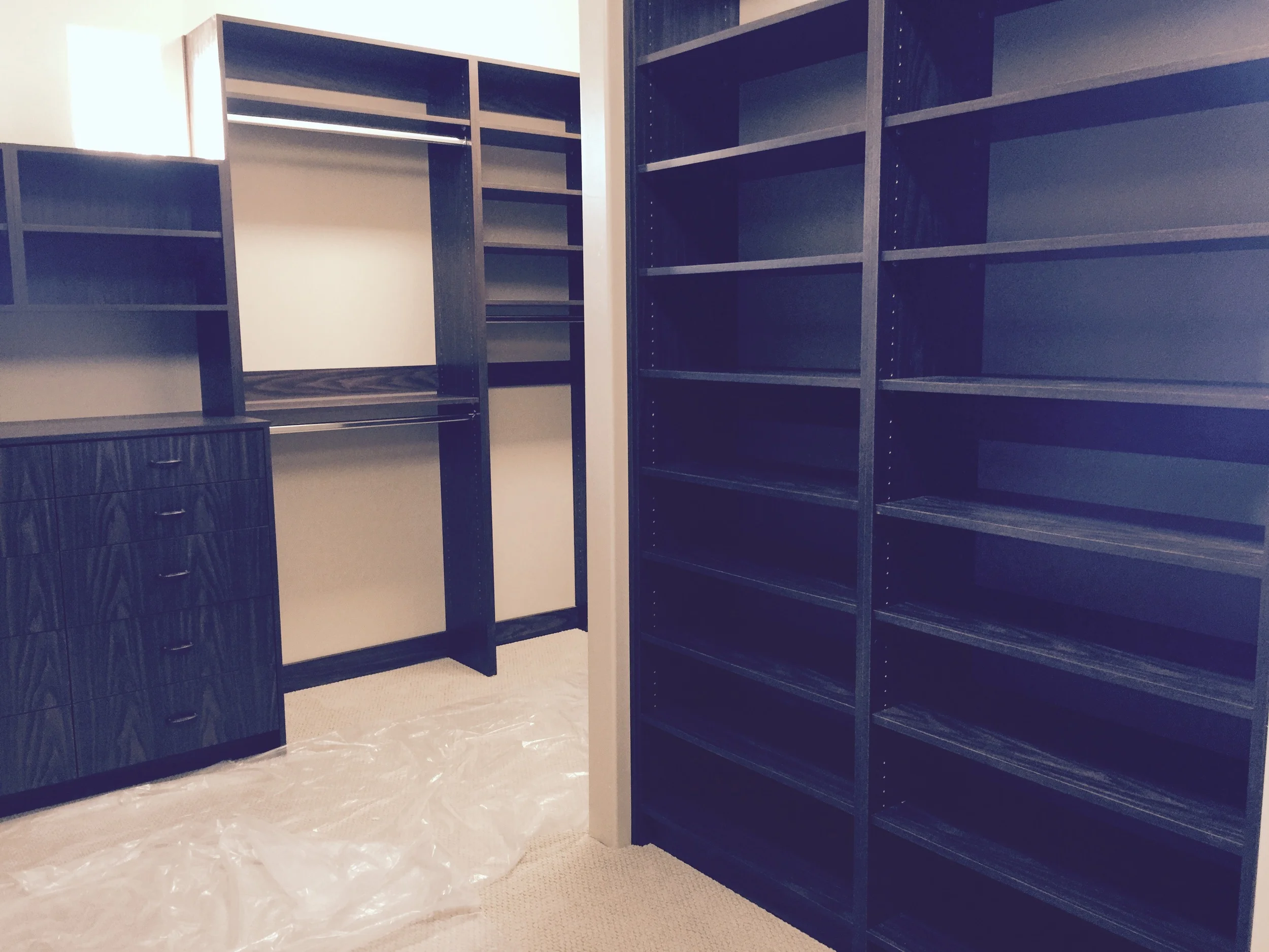 Walnut modern walk-in