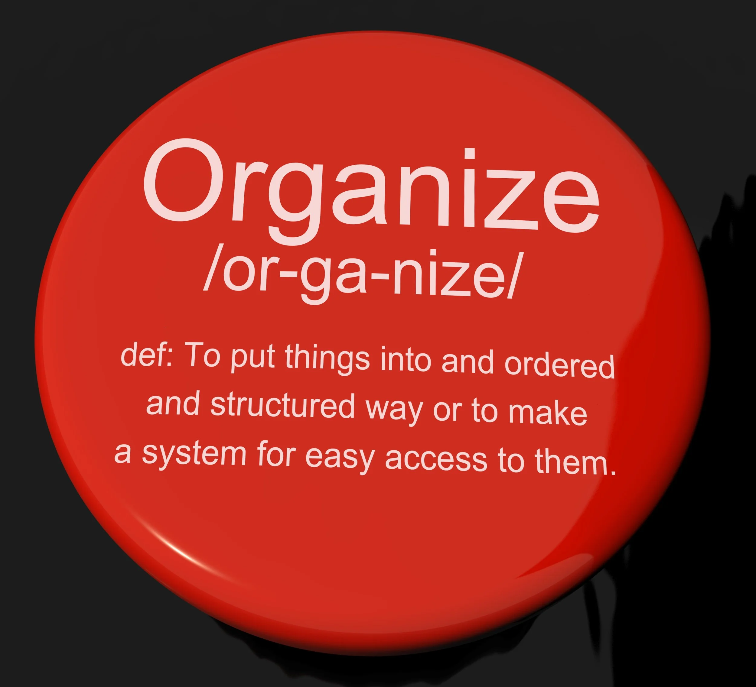 ORGANIZE DEFINED visual data 4