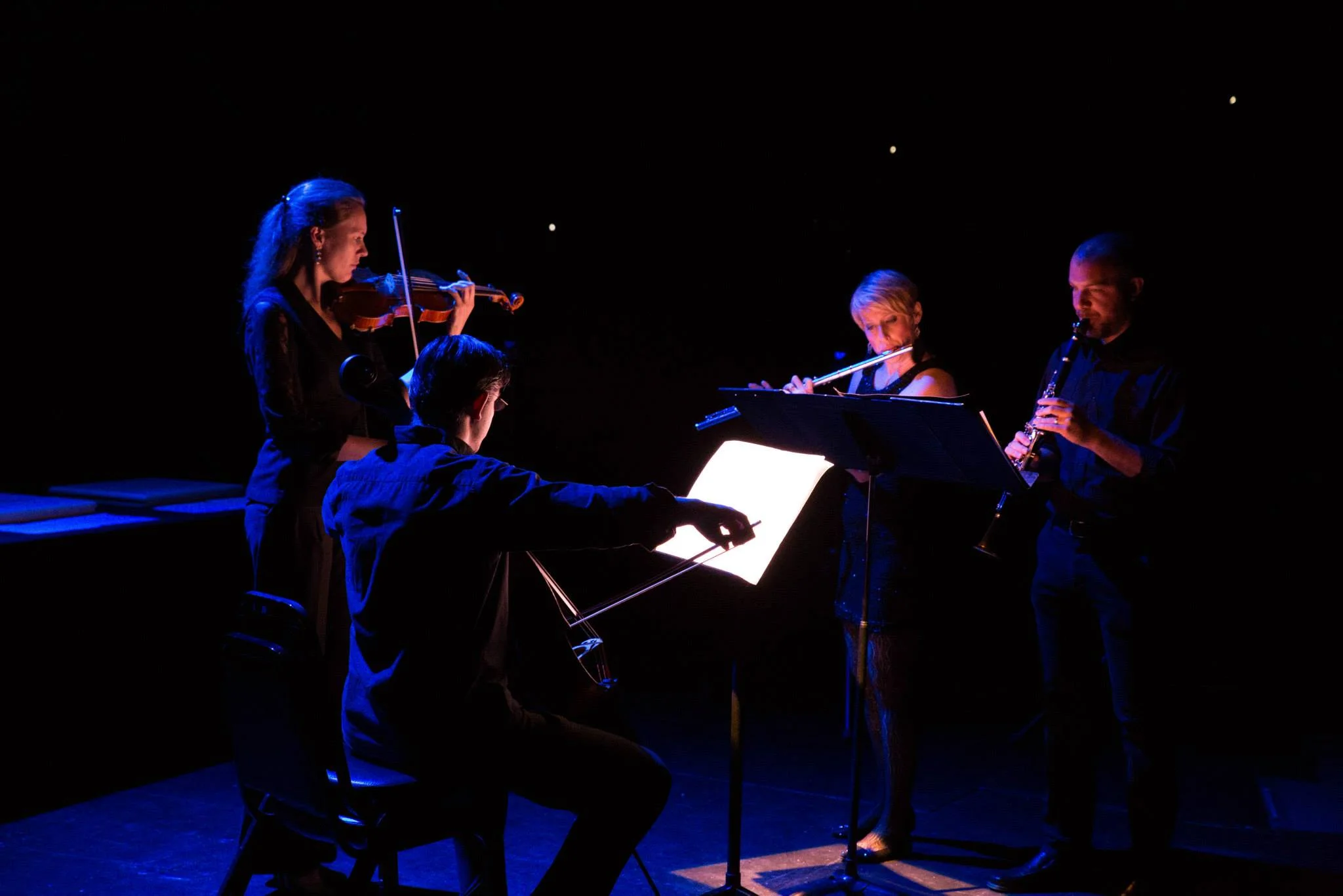 Pittsburgh New Music Ensemble's world premiere of Amy Williams' Ligamy @ City Theatre in Pittsburgh (2015)
