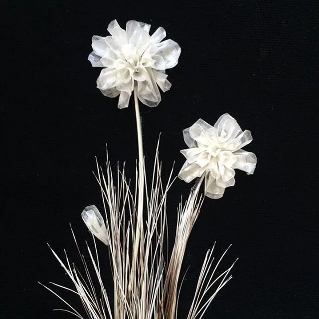 Ociciwan is hosting a Fishscale Workshop with Jaime Morse & Erin Konsmo!

Join us to learn about the history and practice of Métis fish scale artwork and the importance it has in Indigenous contemporary art. 
February 25, 2020
6-9PM
At Quarters Arts 