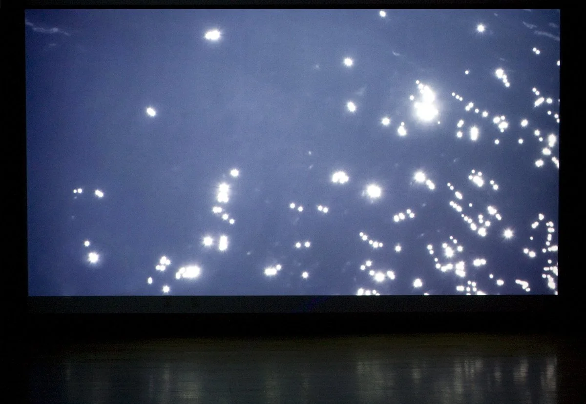 Body and Water opens February 5, 2022