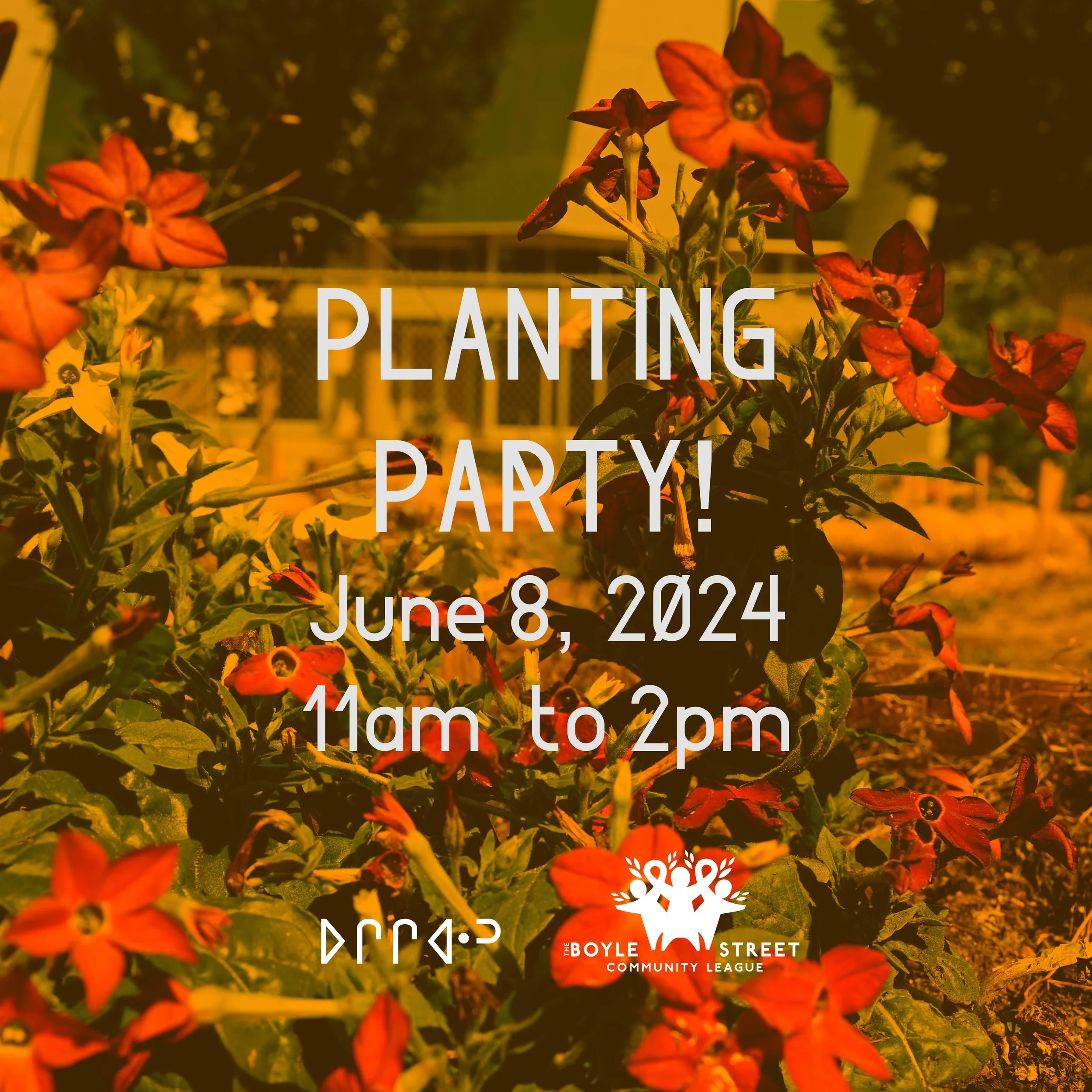 Garden Planting Party!