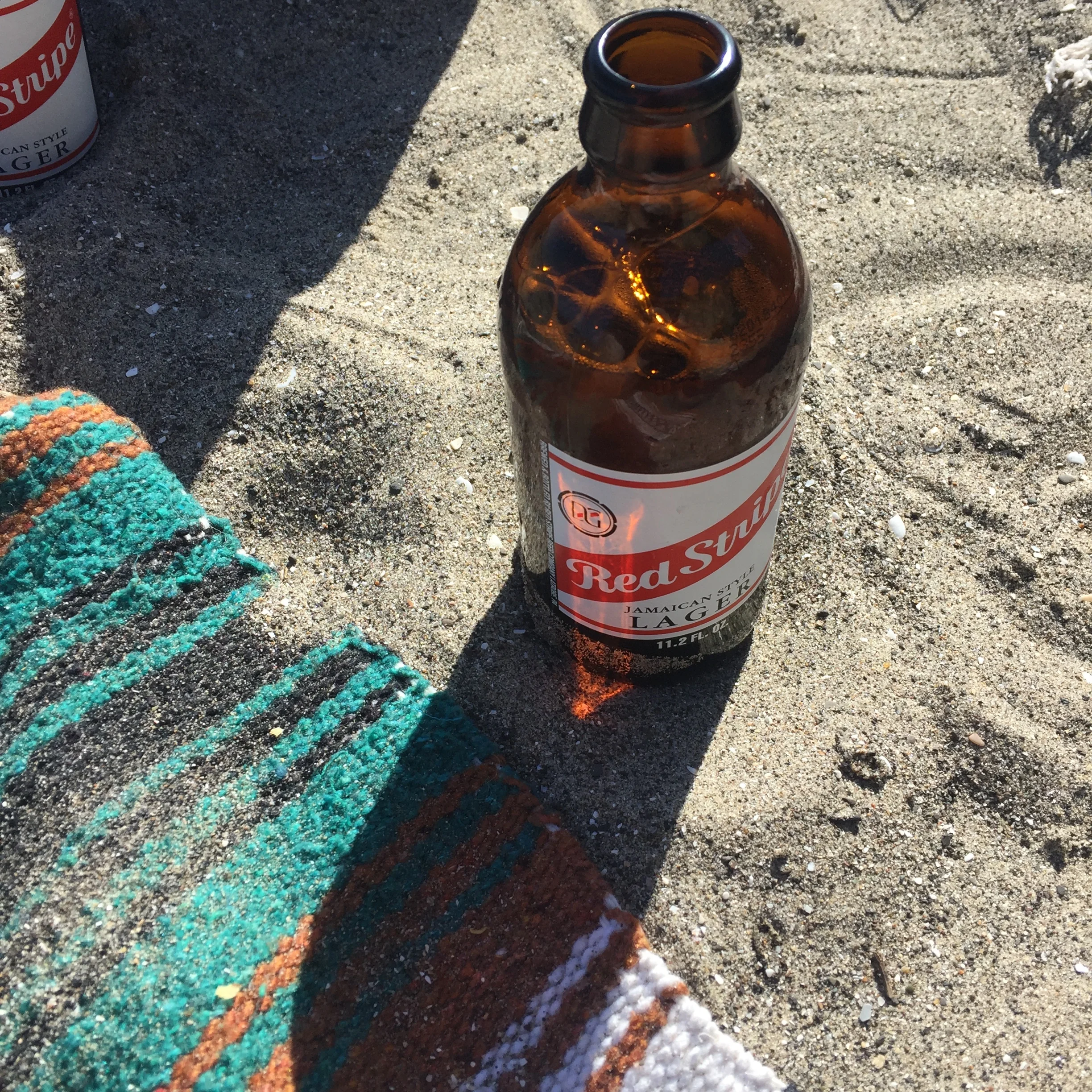 2016 Beach Day