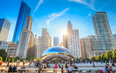 Visit Millenium Park and see Anish Kapoor's extraordinary sculpture, surrounded by the magnificent architecture of Chicago.