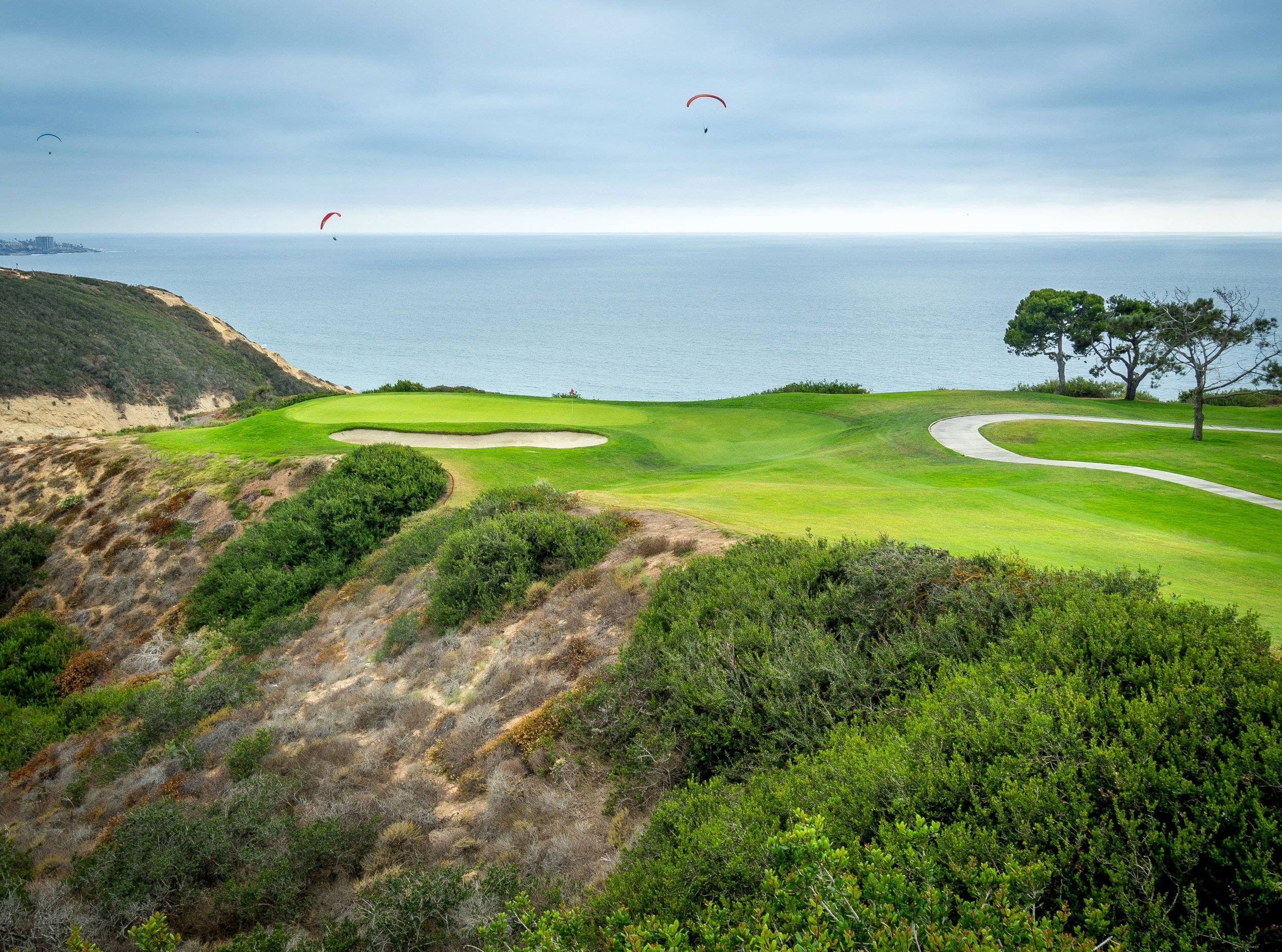 Spectacular oceanfront greens at the Torrey Pines Golf Course in La Jolla.