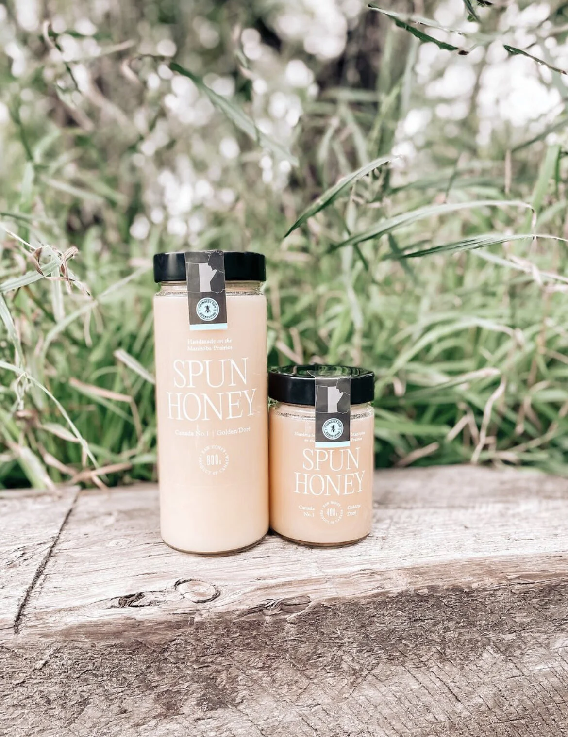 B8468996-DF3F-44C4-A369-93638437CD50