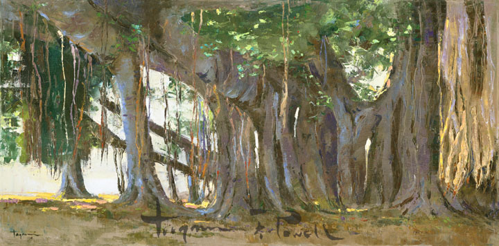 Banyan at the Zoo