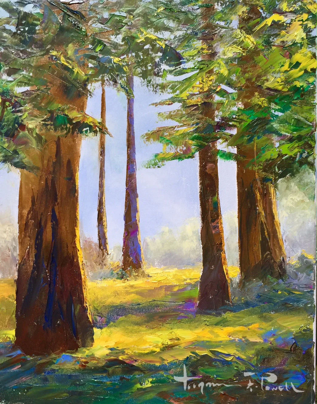 "Redwoods"