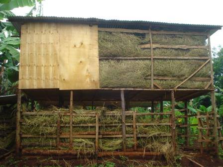 The new shed full of hay and ready for its new residents