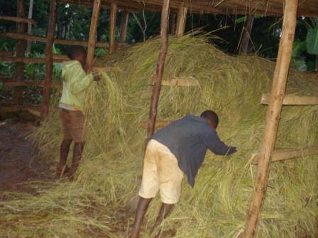 Peter and Joseph were excited to help fill the shed with hay.