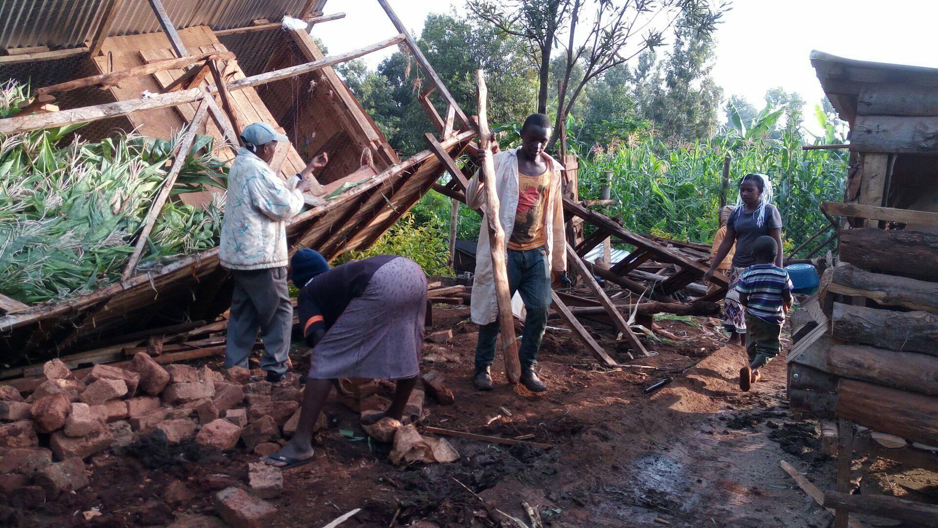 The cow shed was blown down.