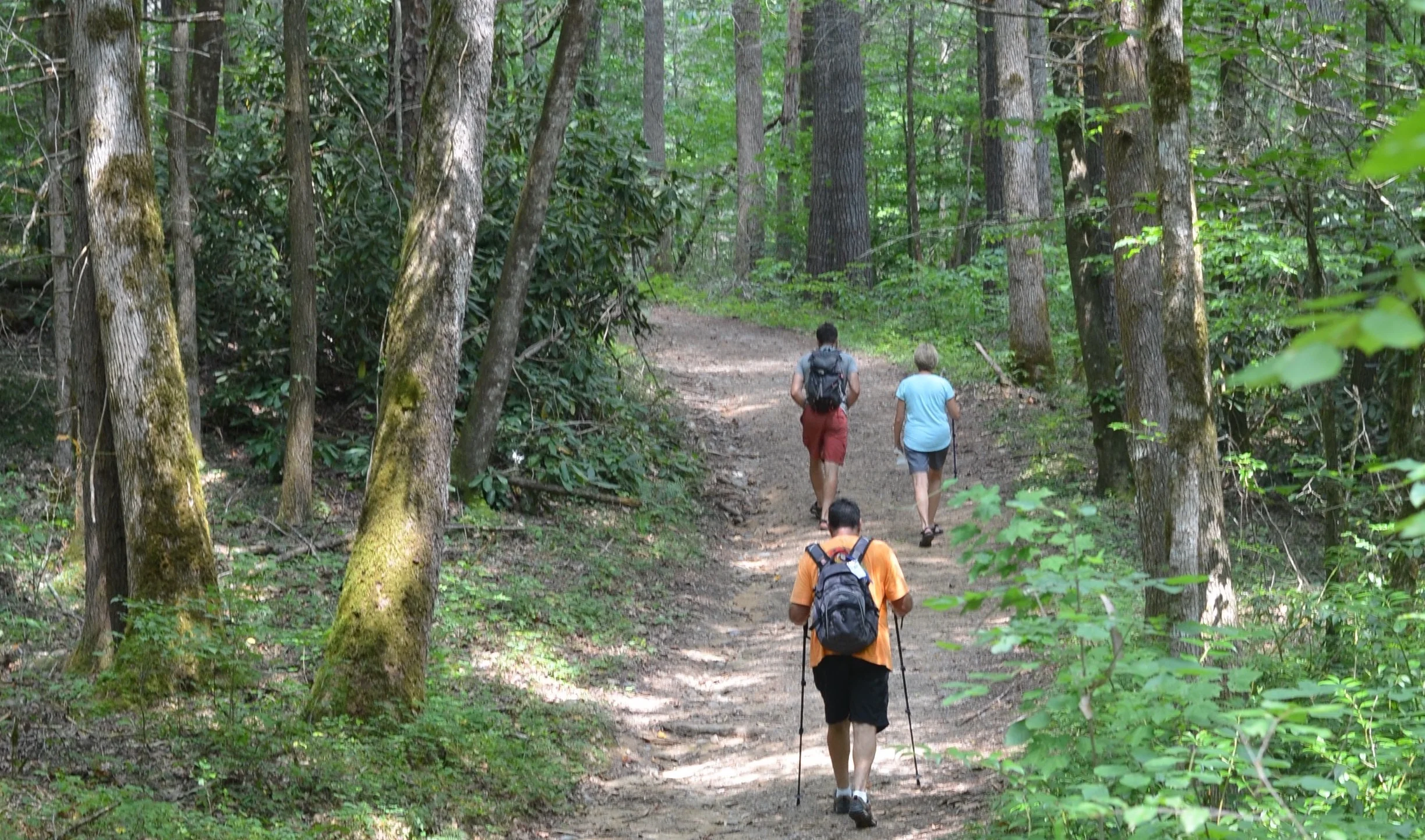 hike.jpg