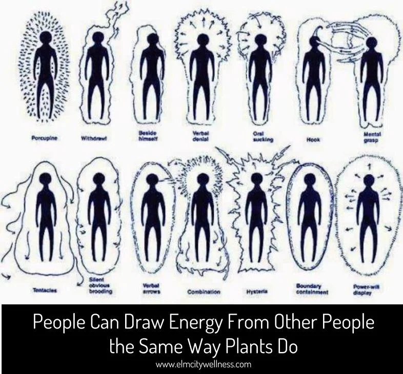 People Can Draw Energy From Other People the Same Way Plants Do