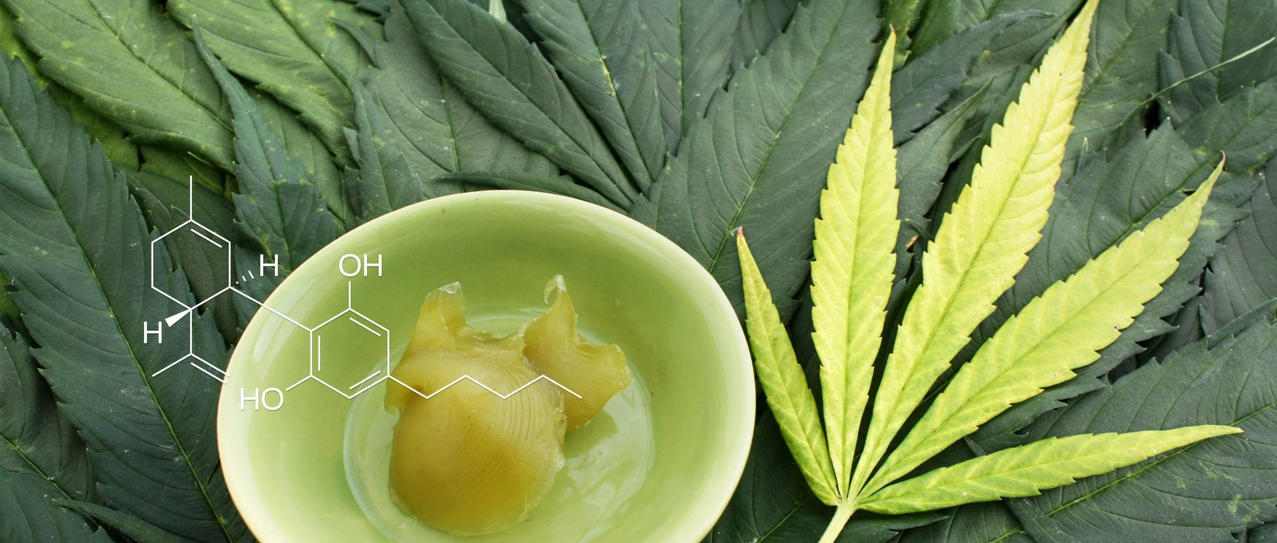CBD Cream with leaf.jpg