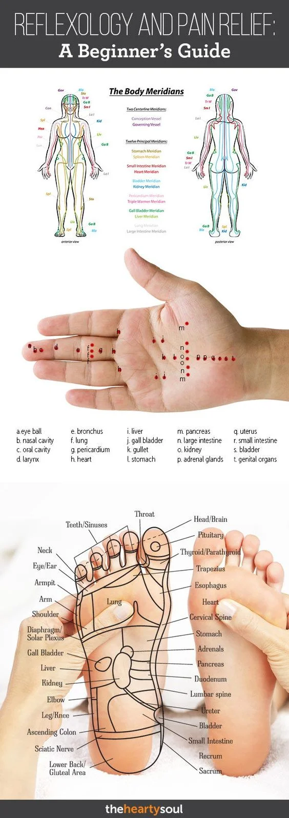 ACUblogUnderstandingReflexology.jpg
