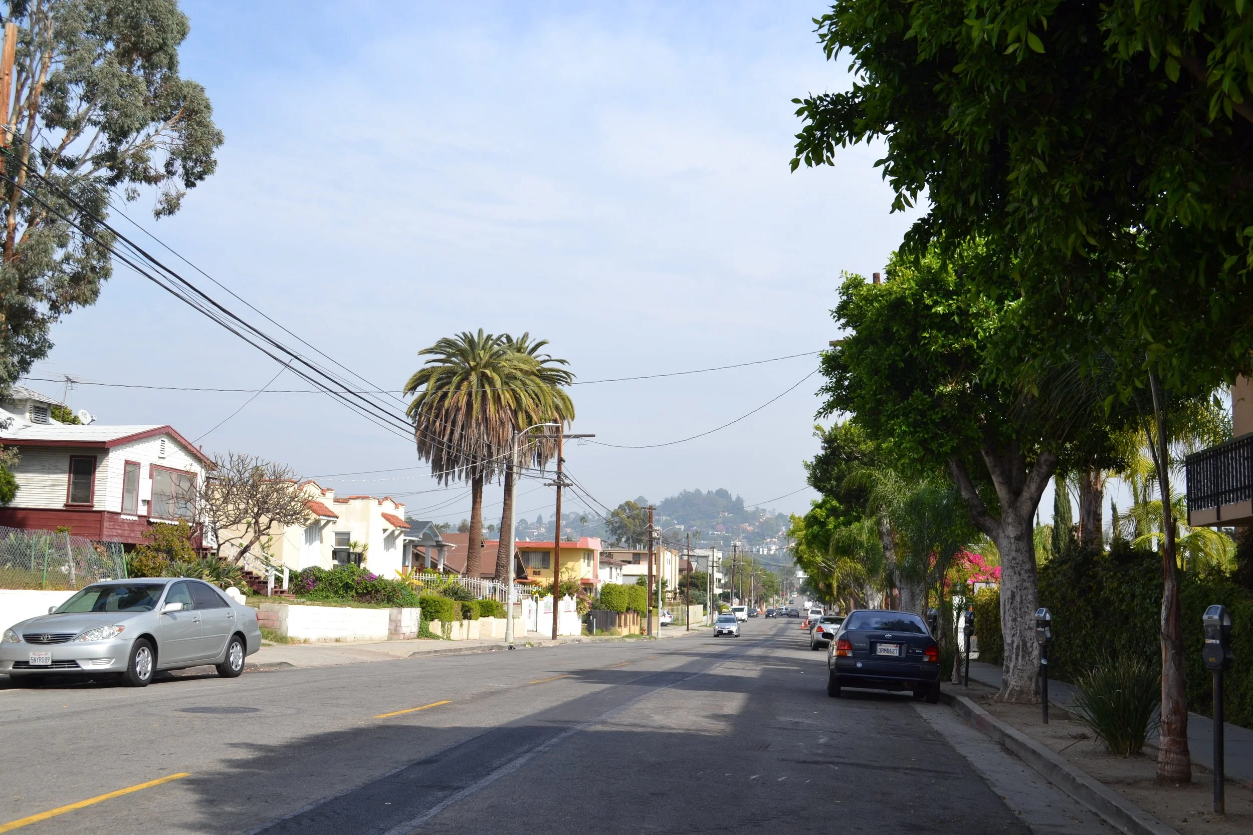 DSC_0099.jpg