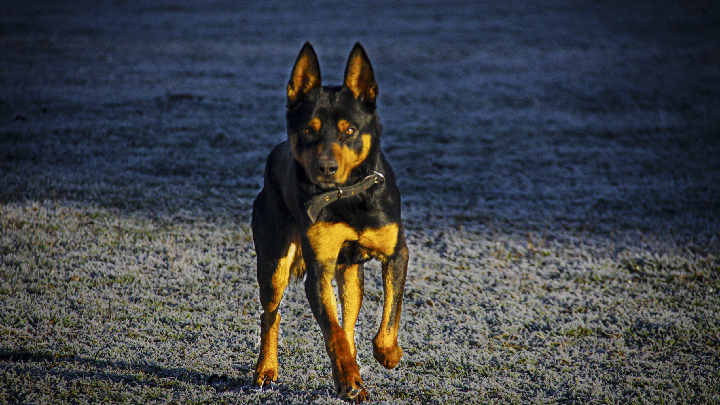 Photo kindly supplied by Jenny Sant