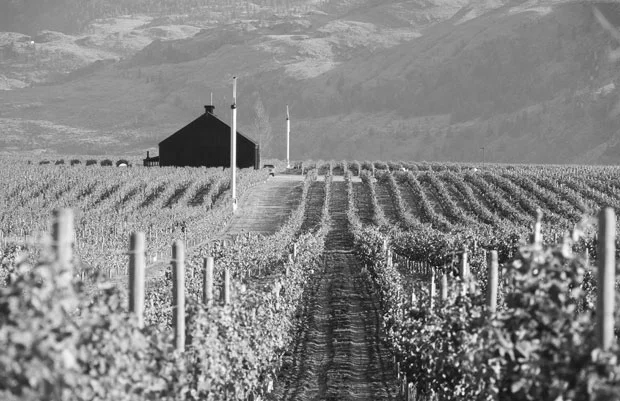 winery.jpg