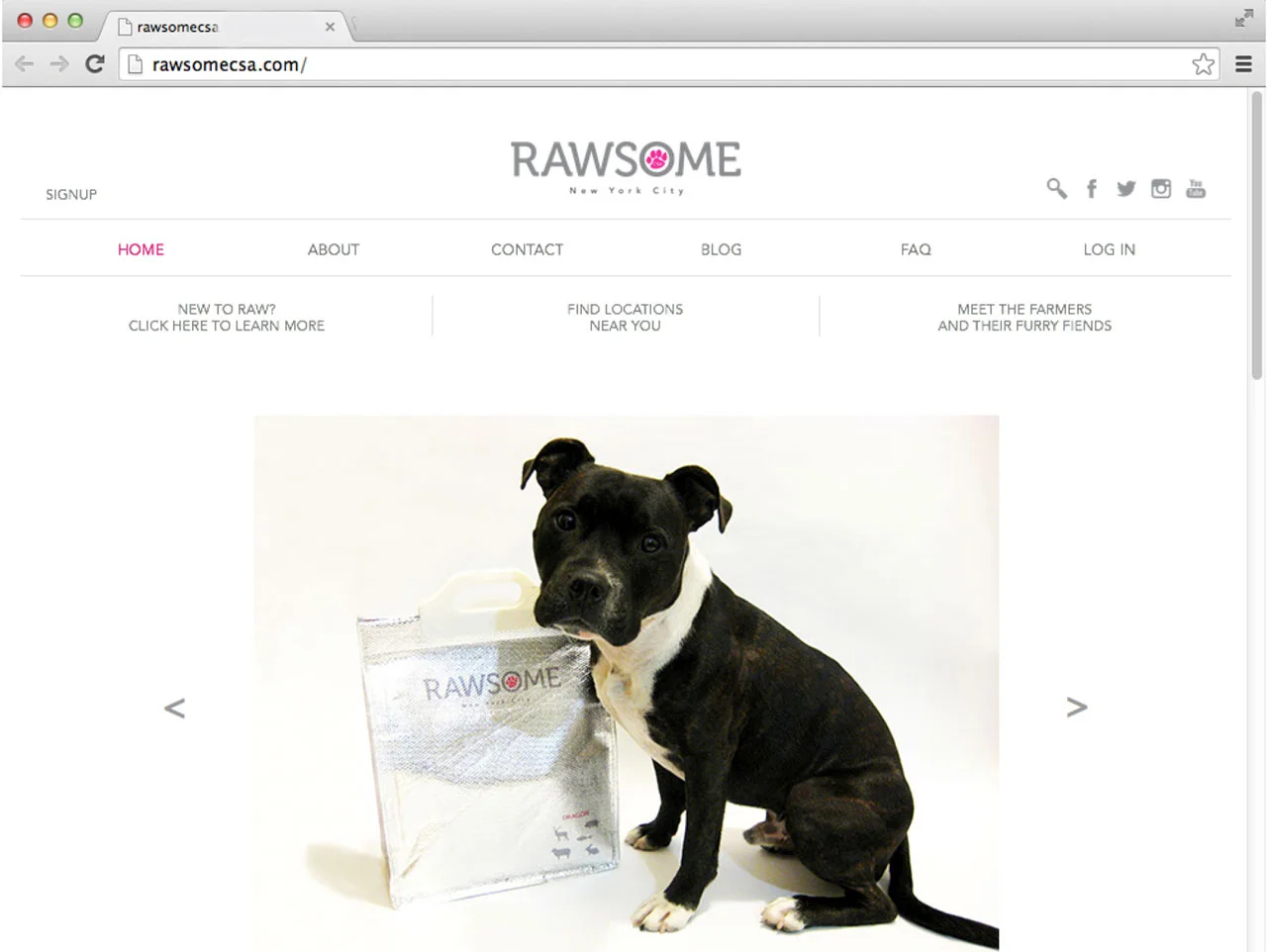 rawsome_12_596.jpg