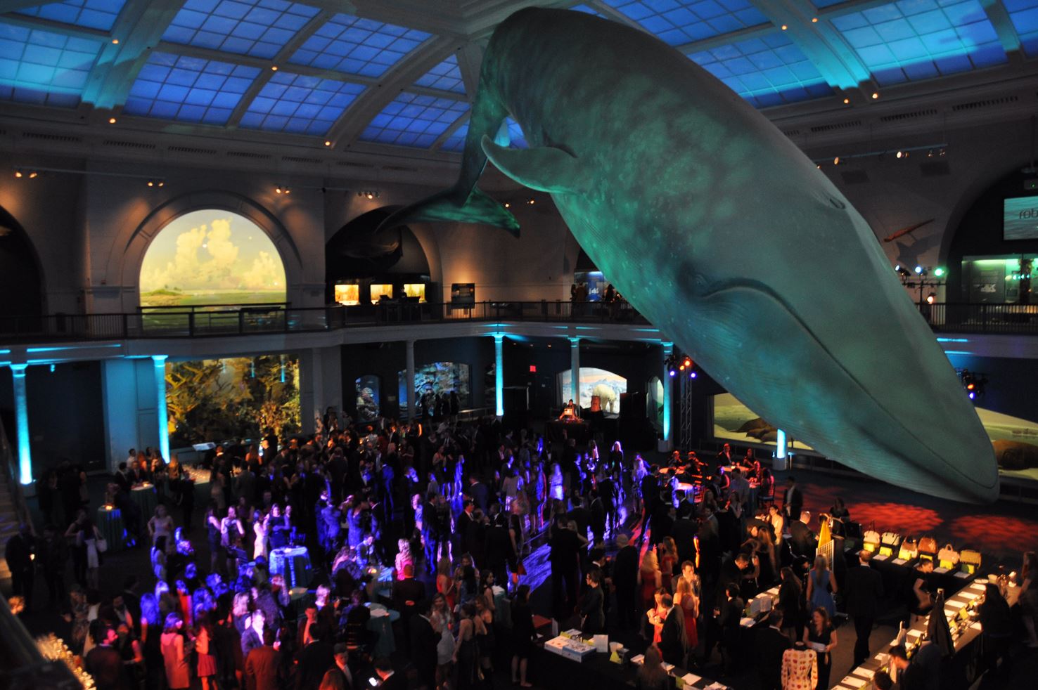American Museum of Natural History