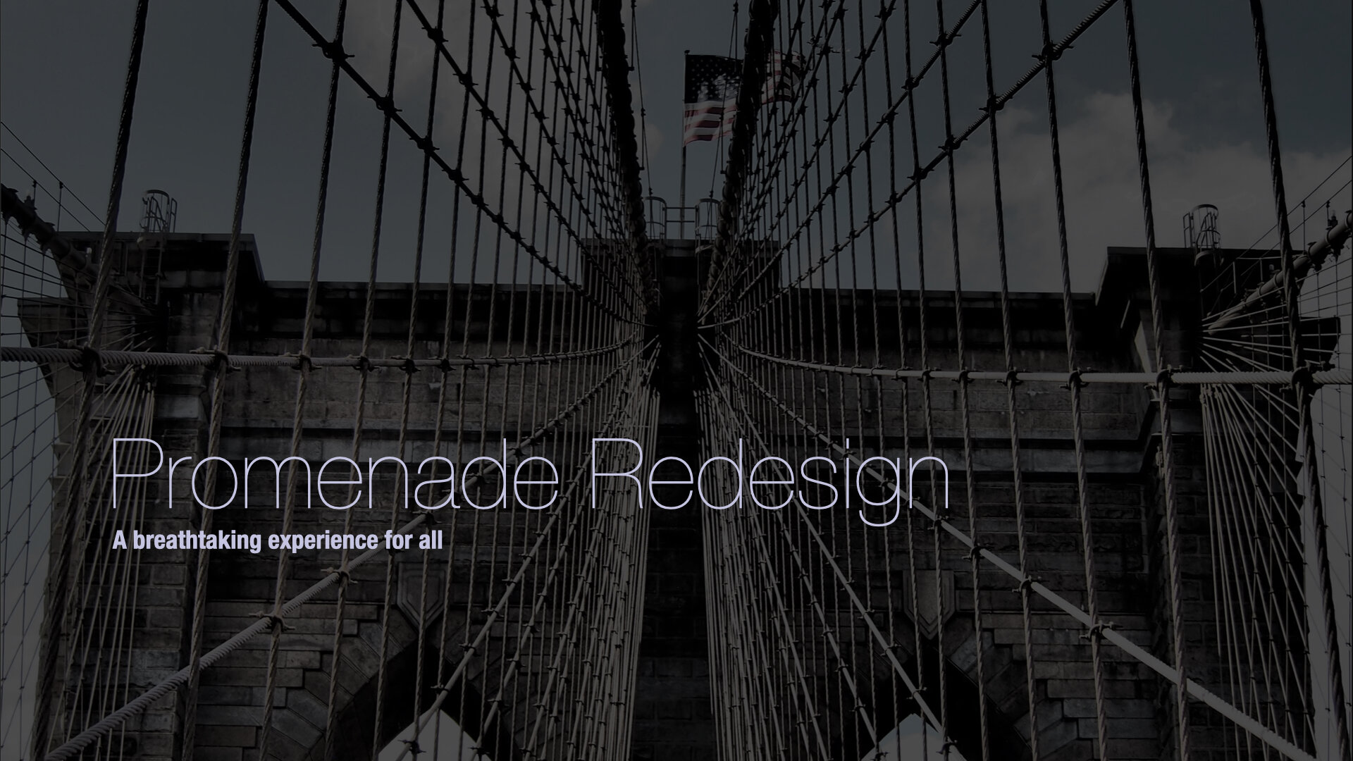 Slideshow showing Regena's experience framework