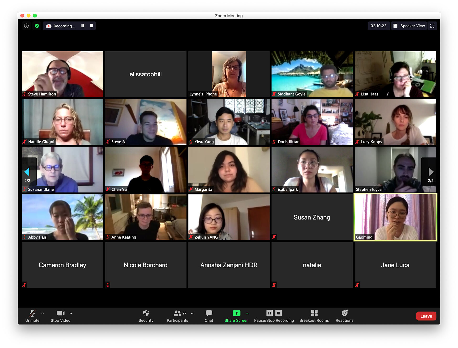 screenshot of participants talking on zoom