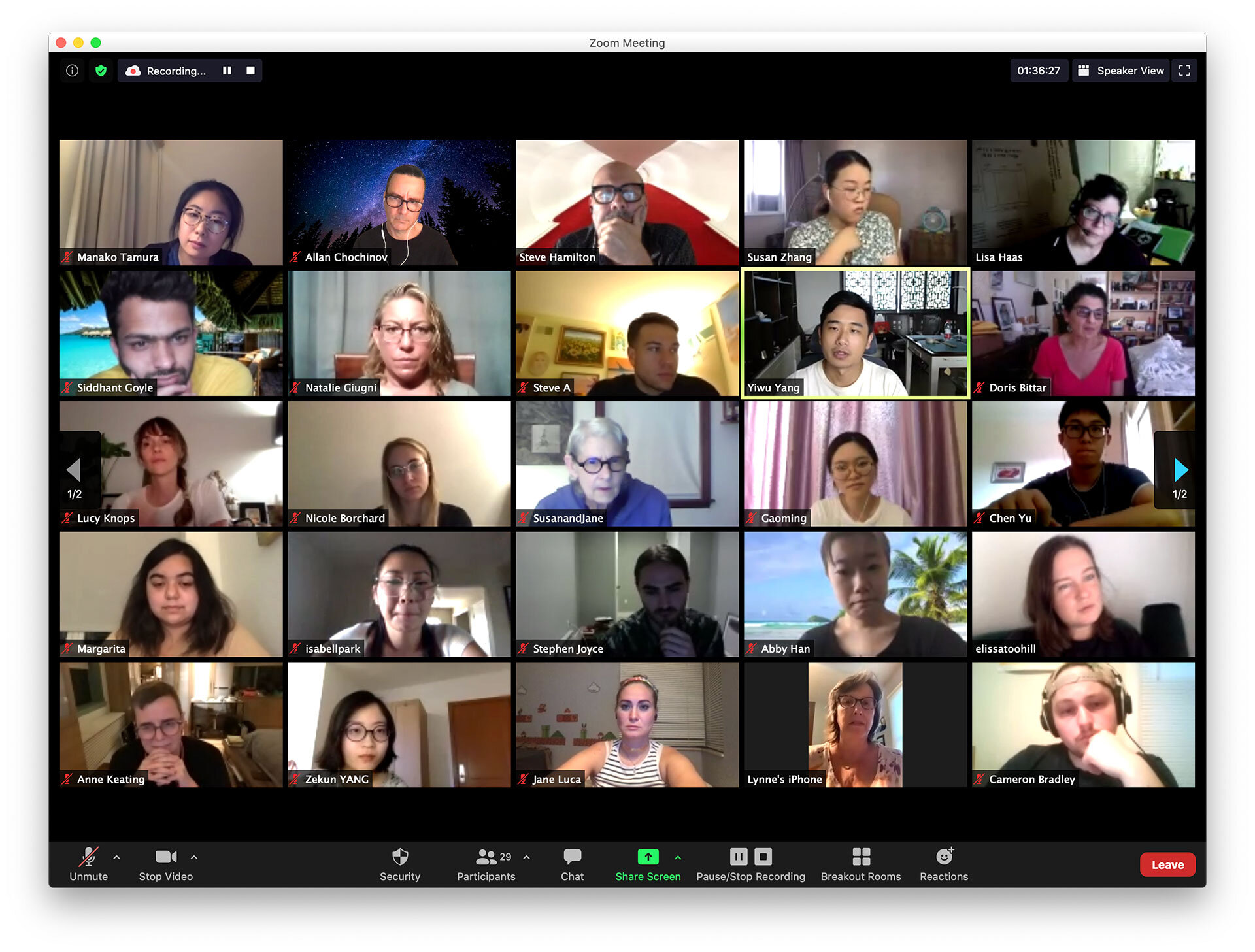 Zoom meeting with participants screen