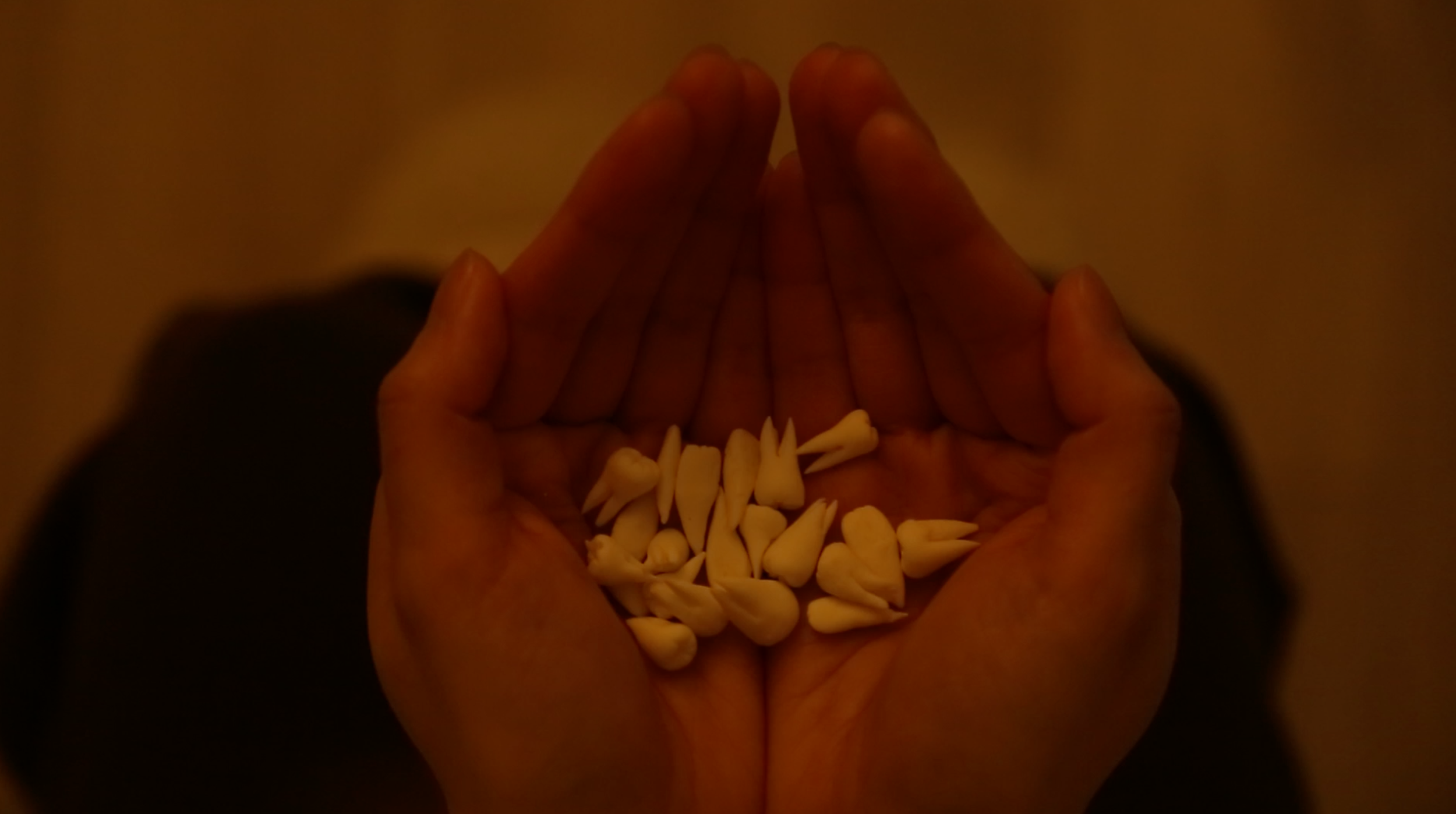 截屏2026-03-12 14.42.39.png