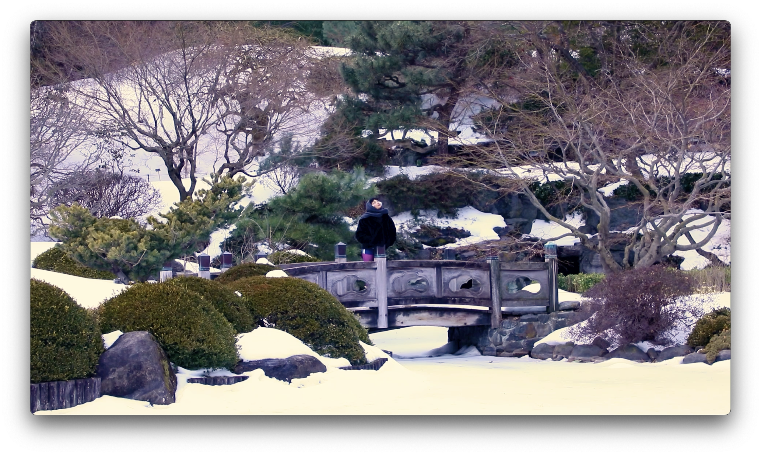 Screenshot 2026-03-12 at 12.47.16 PM.png