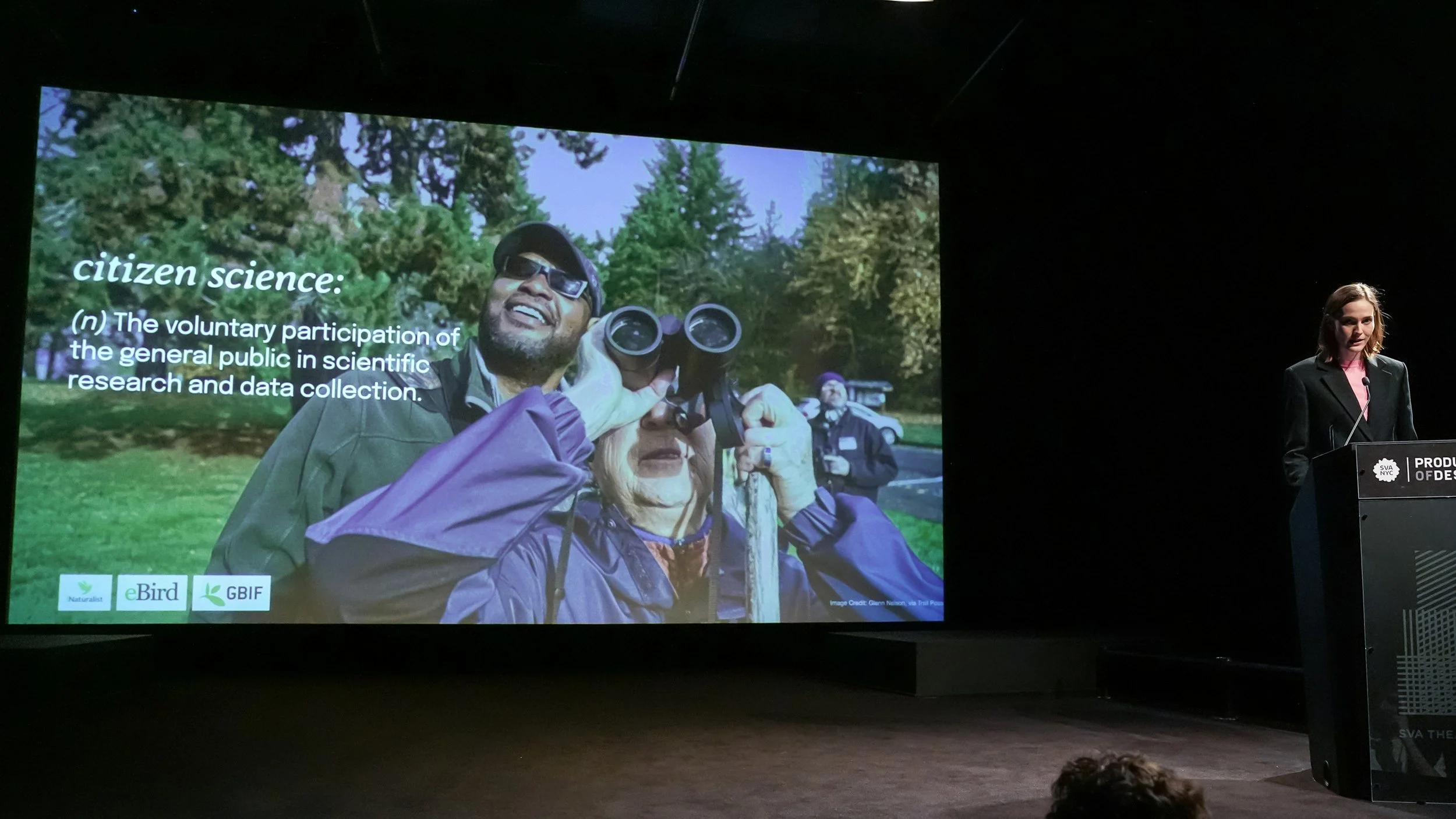 Entangle! A Designer's Quest to Reconnect New Yorkers with Urban Wetlands