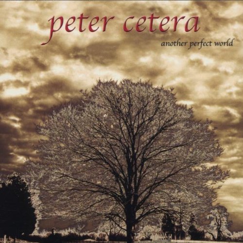  Peter Cetera, 'Another Perfect World' (Vocals) 