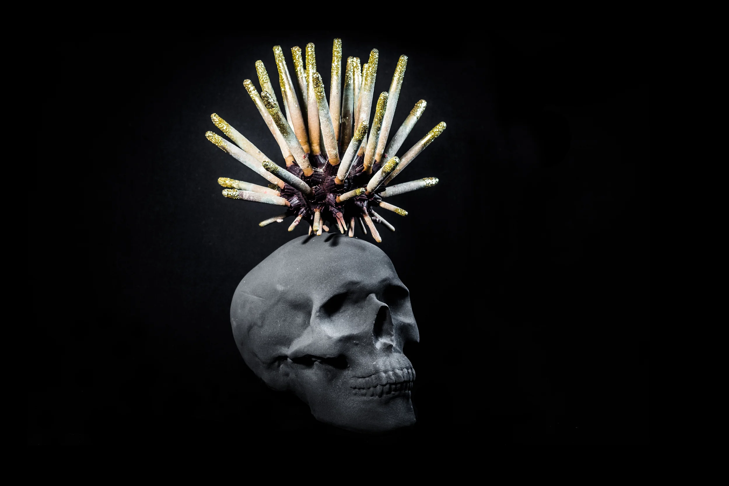 Black skull and urchin 3.jpg