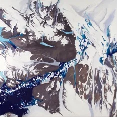 Modis_2009_III.jpg