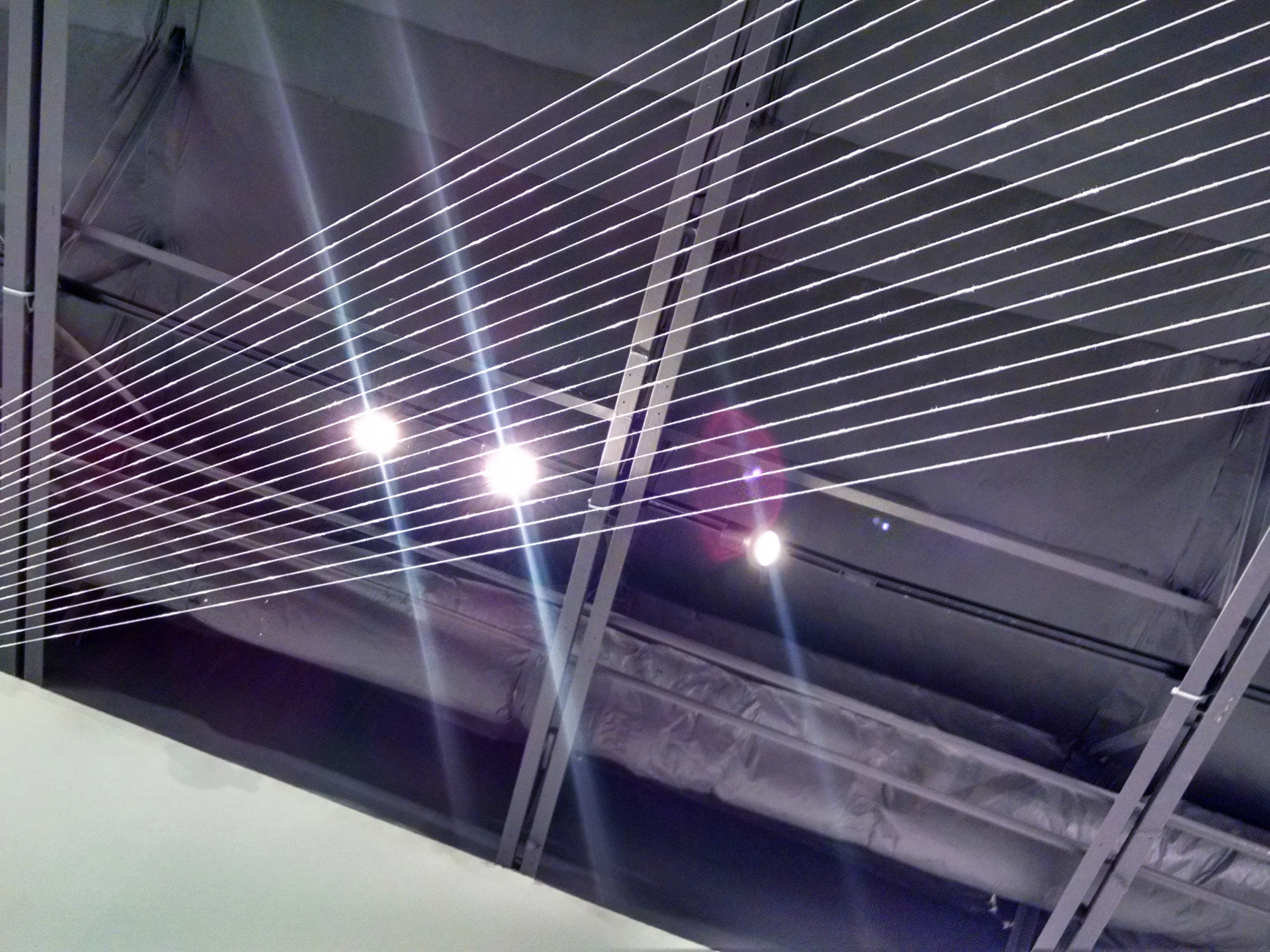 Memory of Mark Making ceiling CLG.jpg