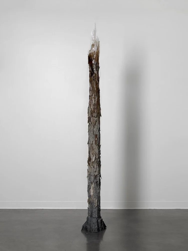 Shang-Yi-Hua_Transition_Cindy_Lisica_Gallery.jpg