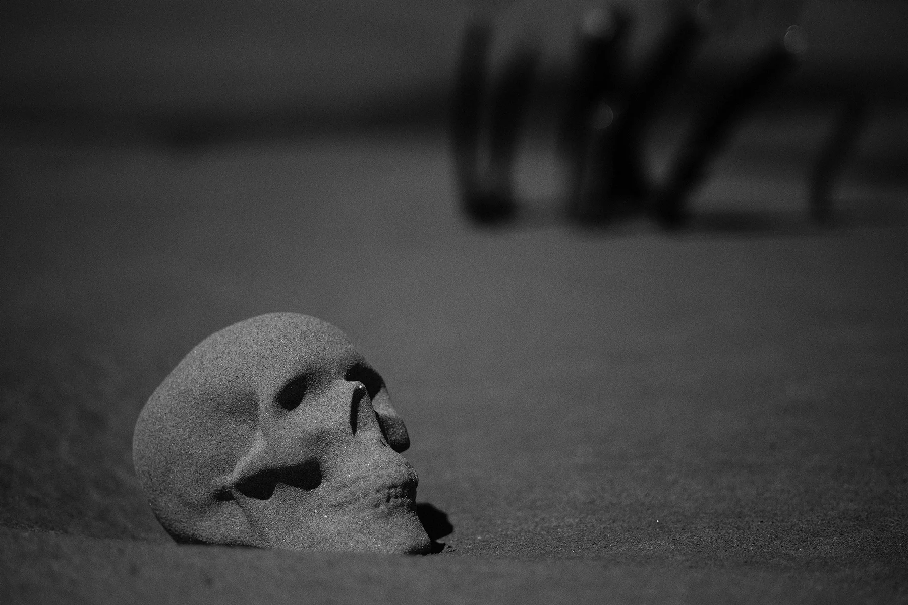 Barbara_Smith_Sand_Skull.jpg