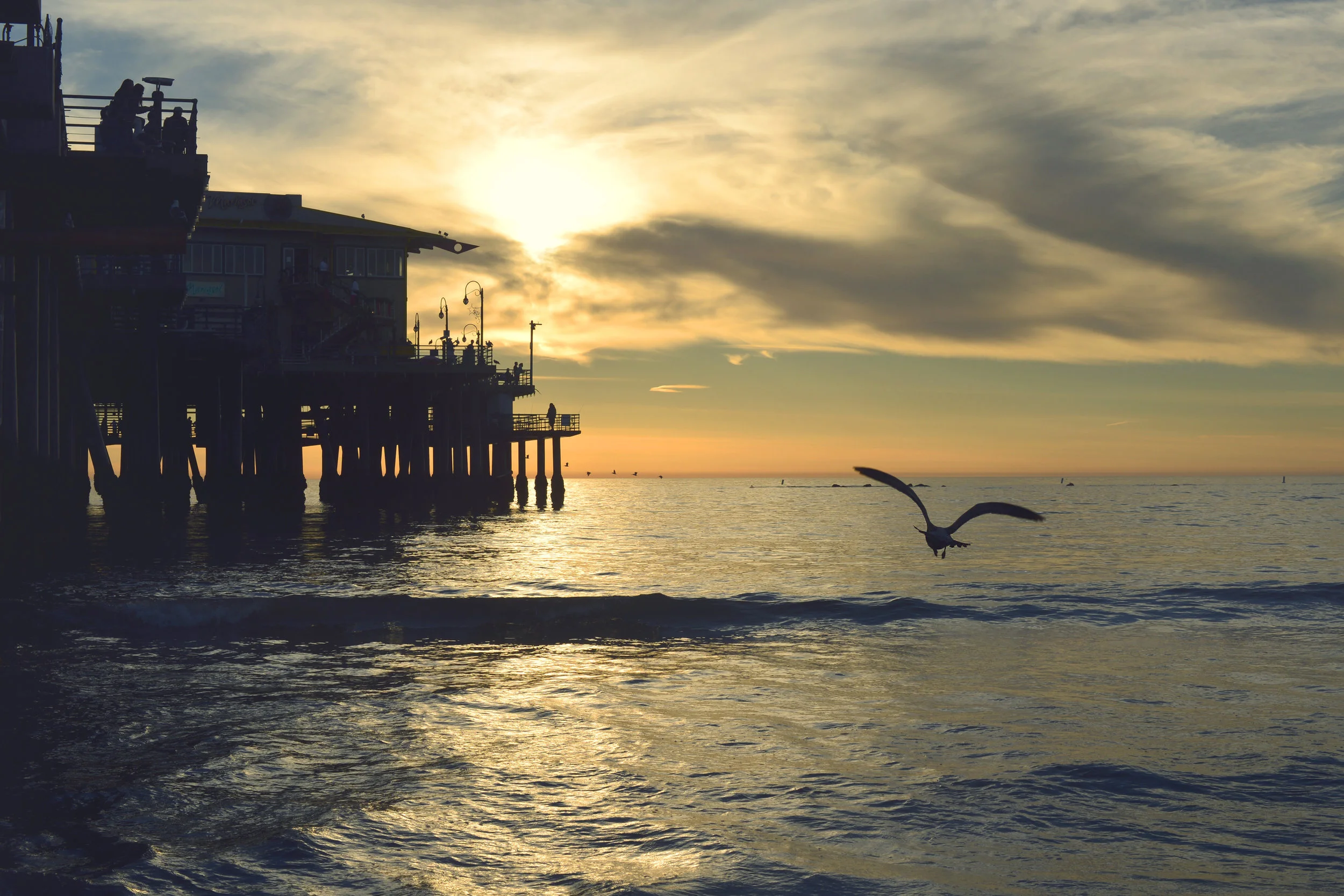 california pier.jpeg