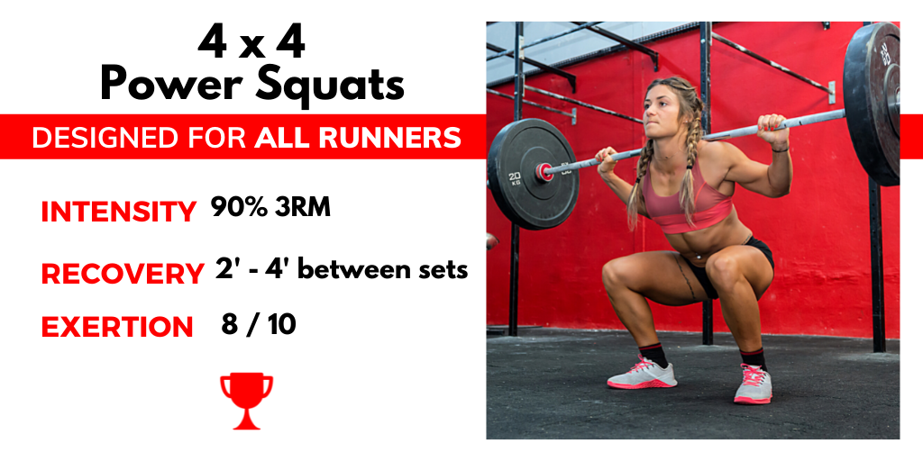 Squat workout routine