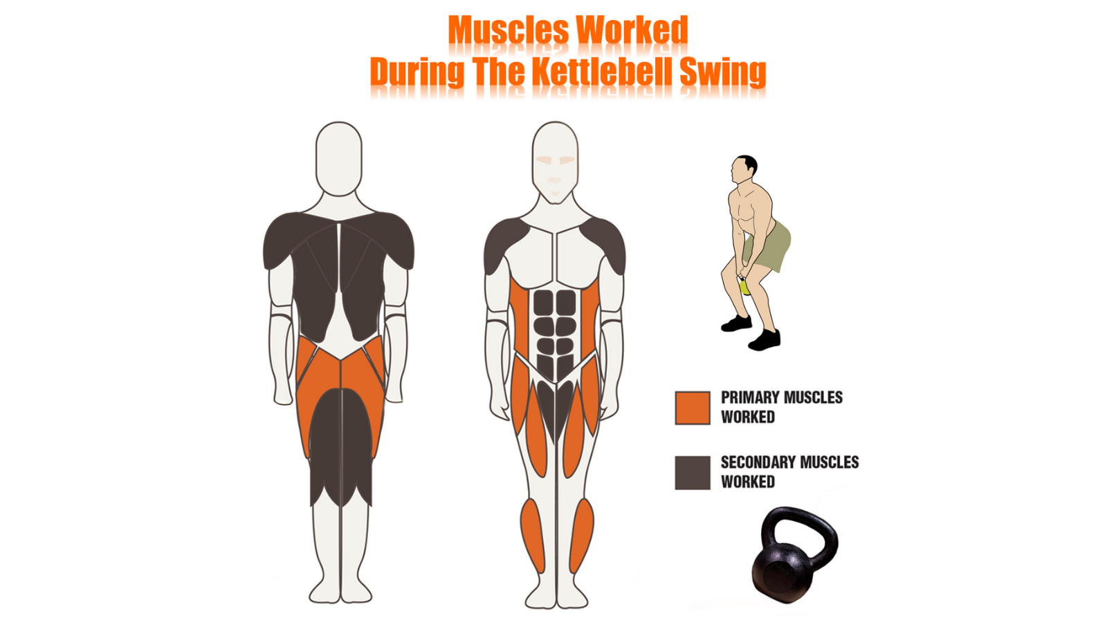 Kettlebell for lats hotsell