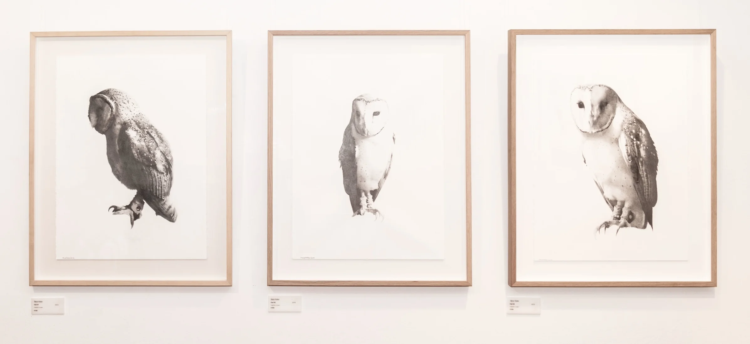 Symphonize-2 copy-1.jpg