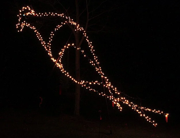 Crow with a Bow - Crow Farm.JPG