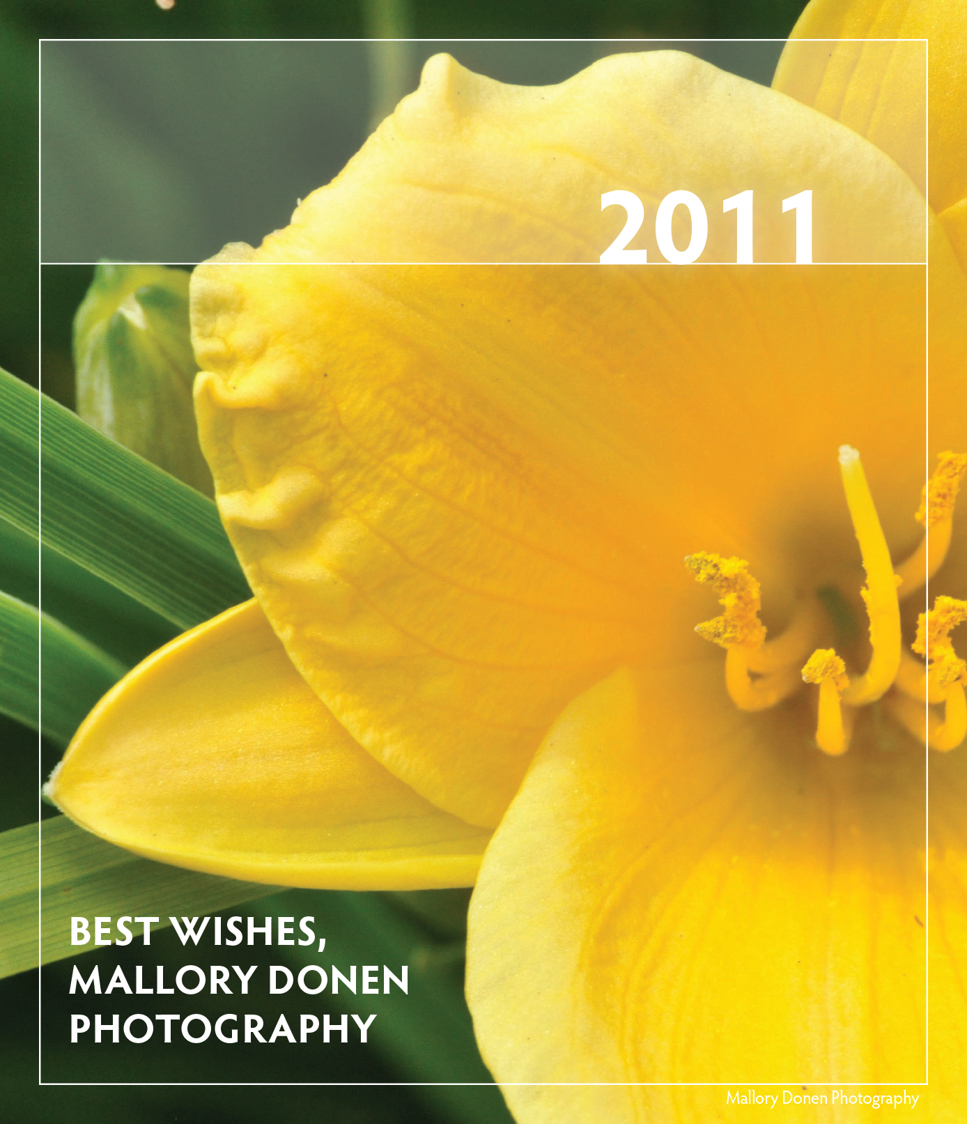 2011Donen_Calendar-1.jpg